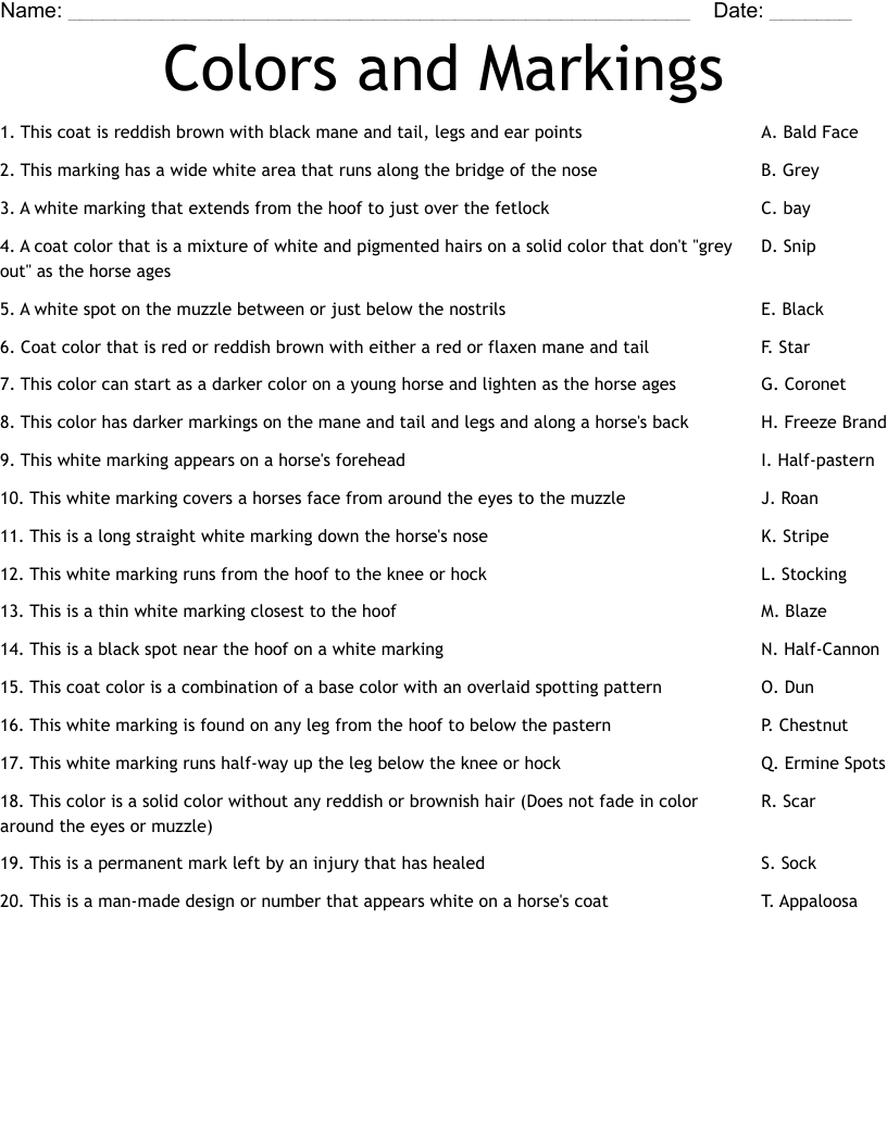 Colors and Markings Worksheet