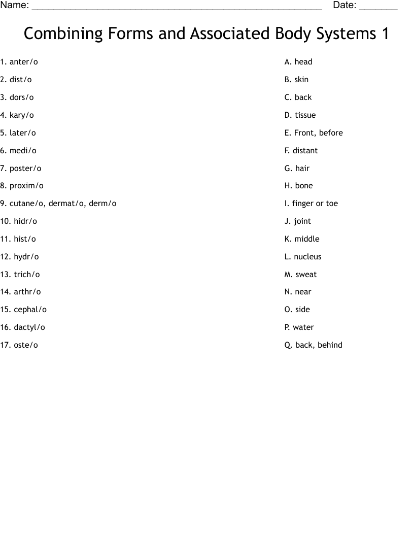 Combining Forms  and Associated Body Systems 1 Worksheet