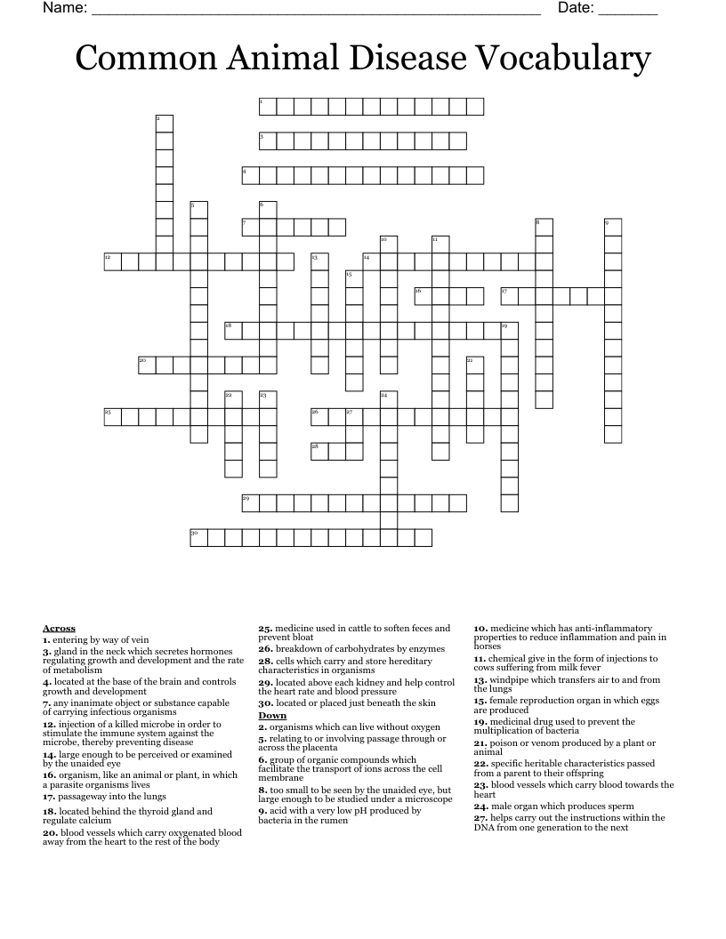 Common Animal Disease Vocabulary Crossword