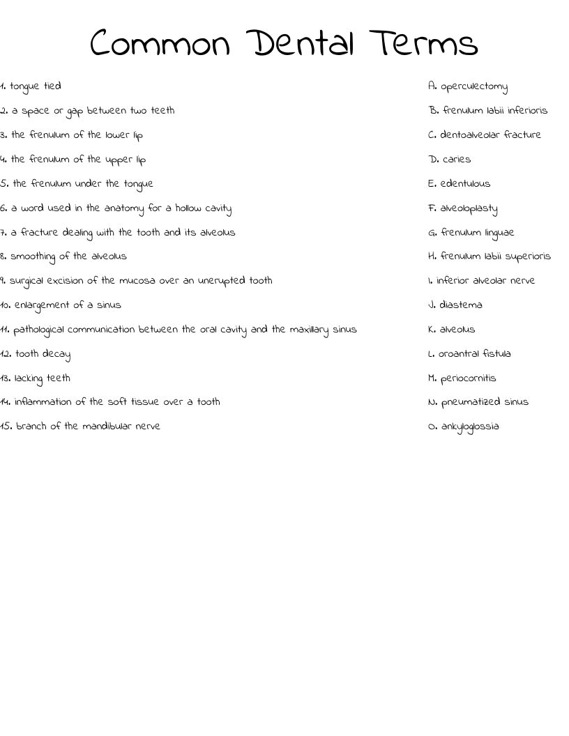 Common Dental Terms Worksheet