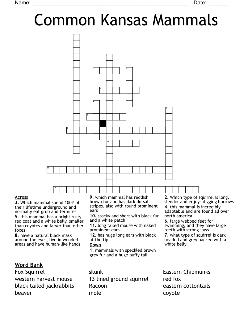 Common Kansas Mammals Crossword