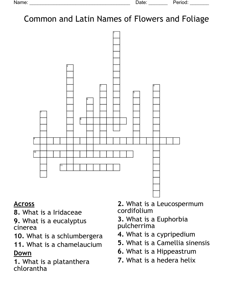 Common and Latin Names of Flowers and Foliage Crossword