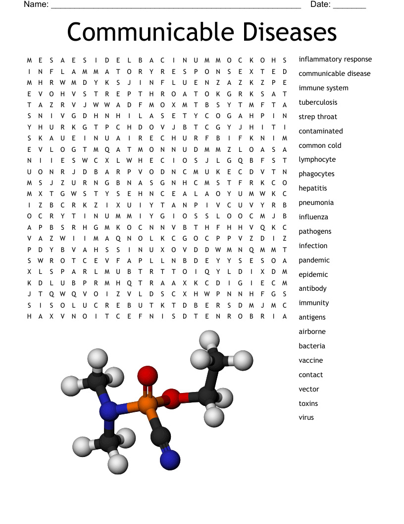 Communicable Diseases Word Search