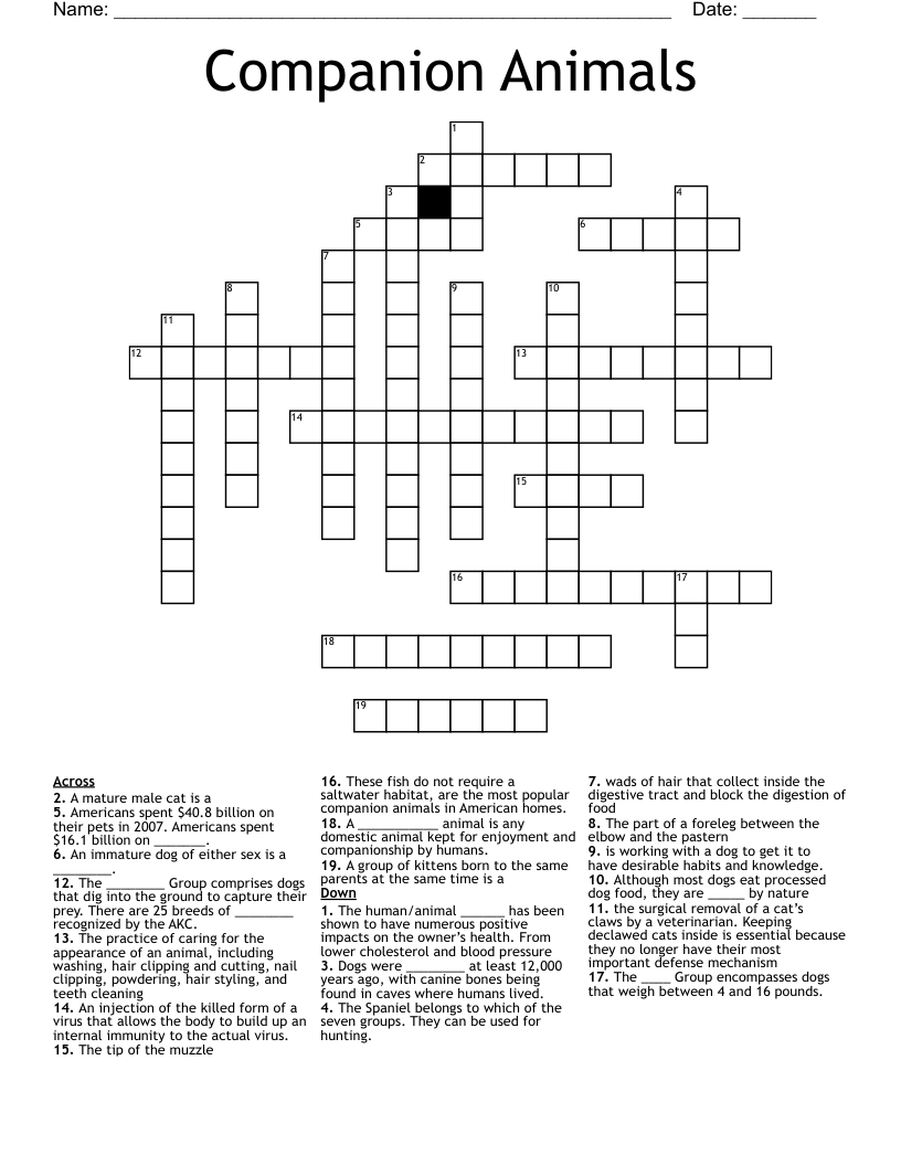 Companion Animals  Crossword