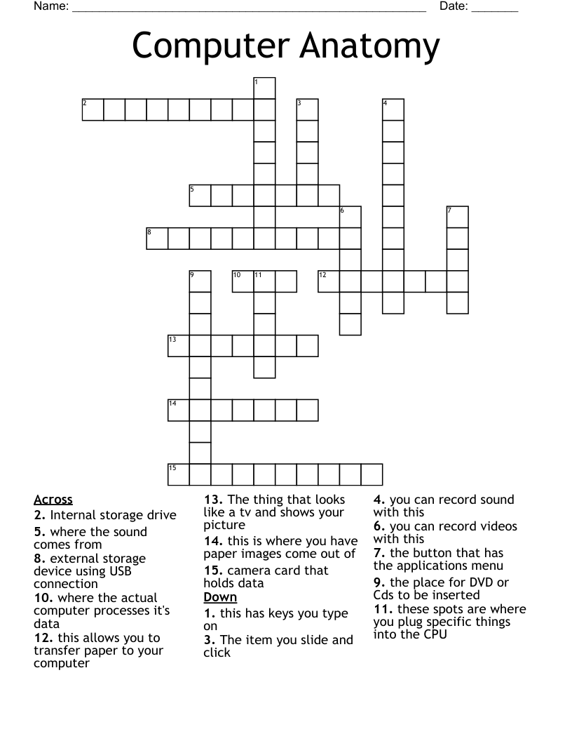 Computer Anatomy Crossword