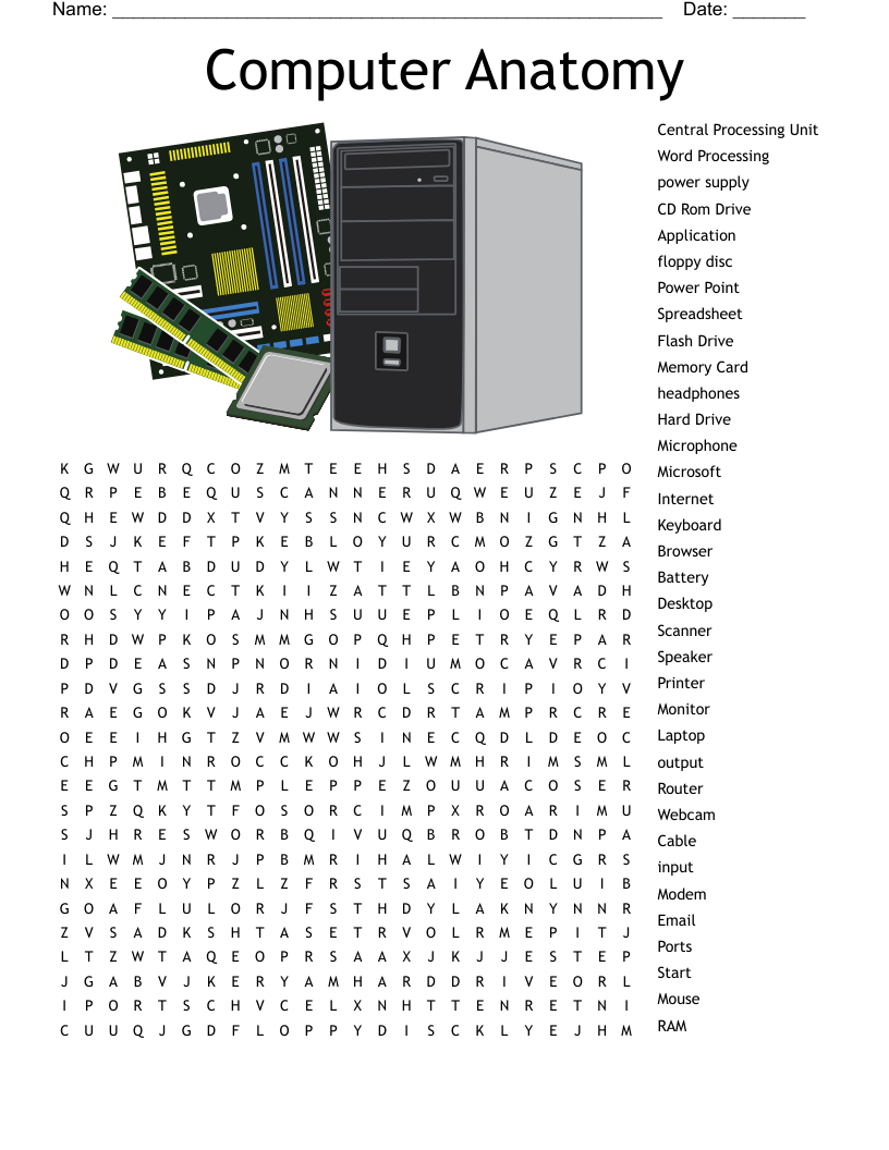 Computer Anatomy Word Search