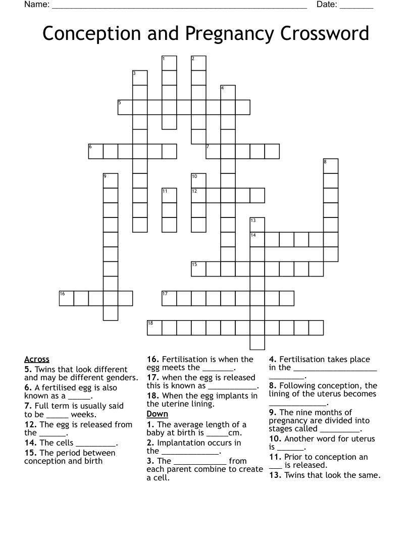 Conception and Pregnancy Crossword