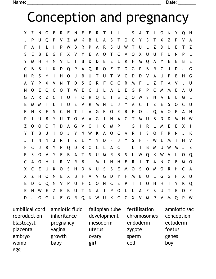 Conception and pregnancy Word Search