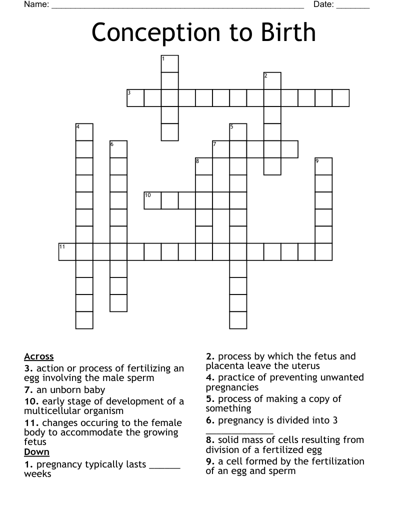 Conception to Birth Crossword