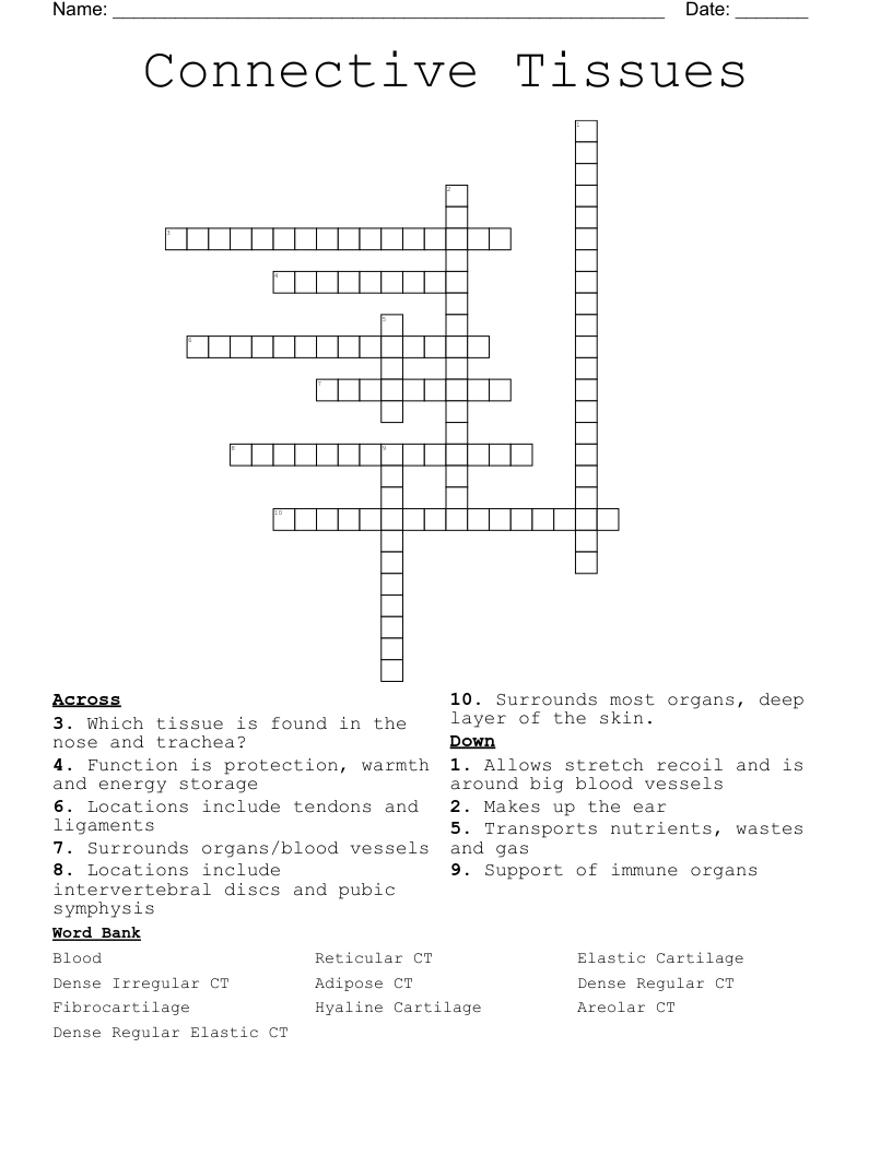 Connective Tissues Crossword