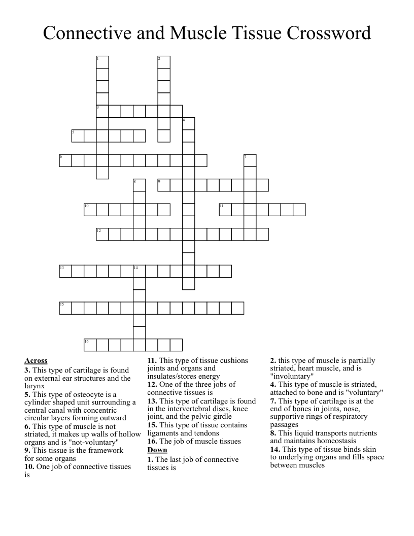 Connective and Muscle Tissue Crossword