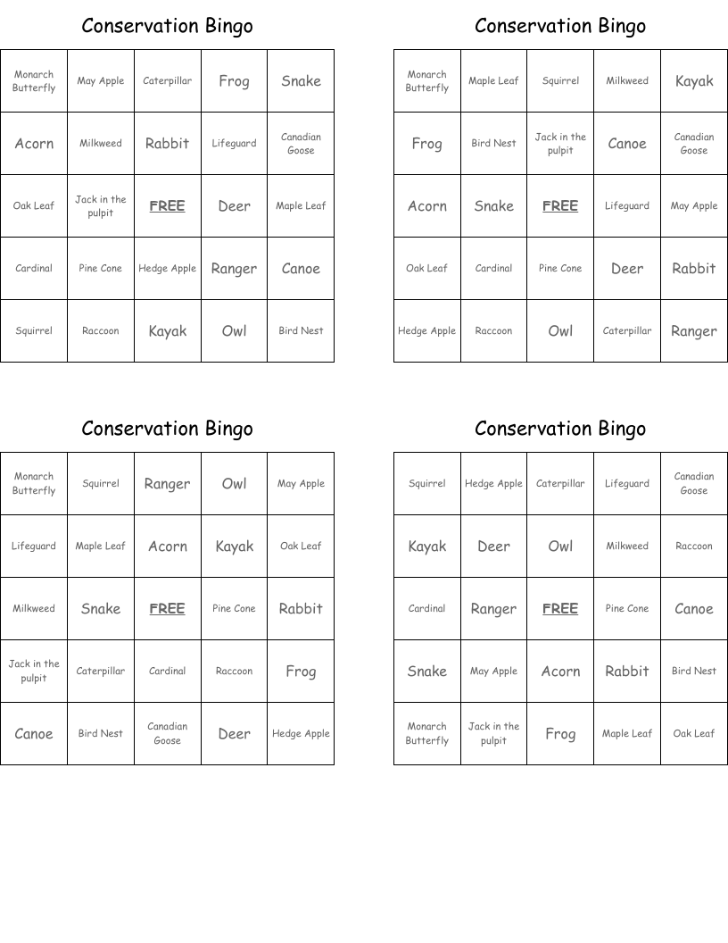 Conservation Bingo