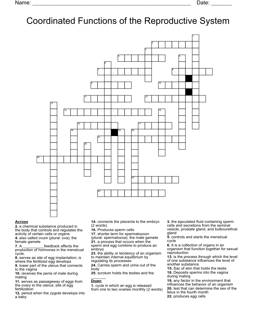 Coordinated Functions of the Reproductive System Crossword