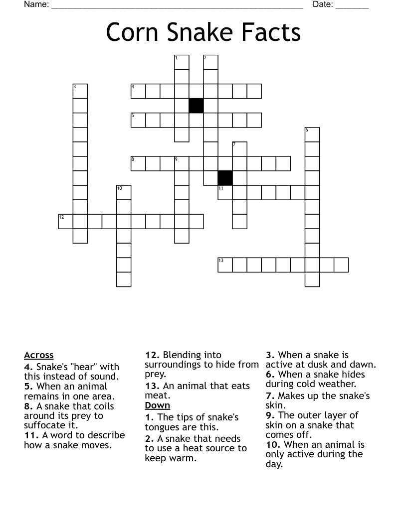 Corn Snake Facts Crossword