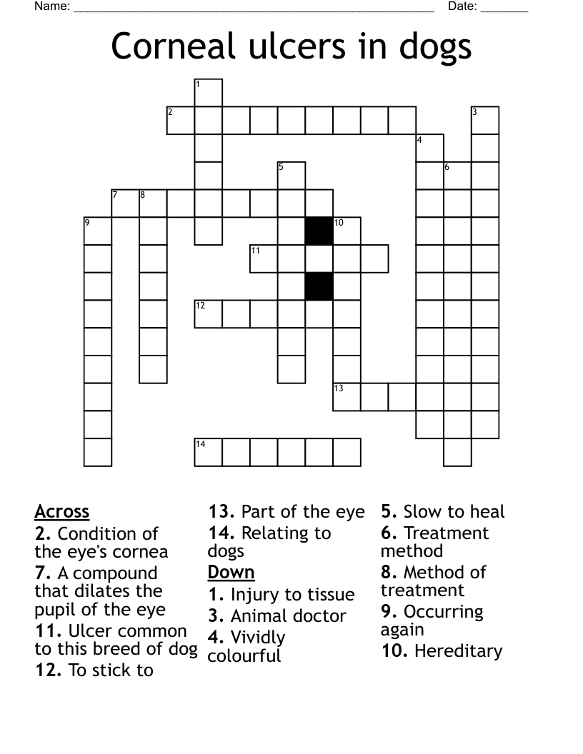 Corneal ulcers in dogs Crossword