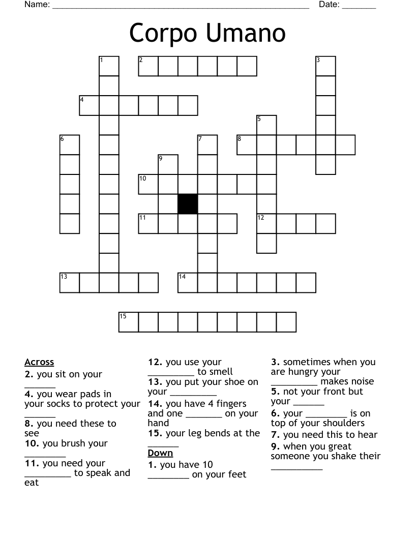 Corpo Umano  Crossword