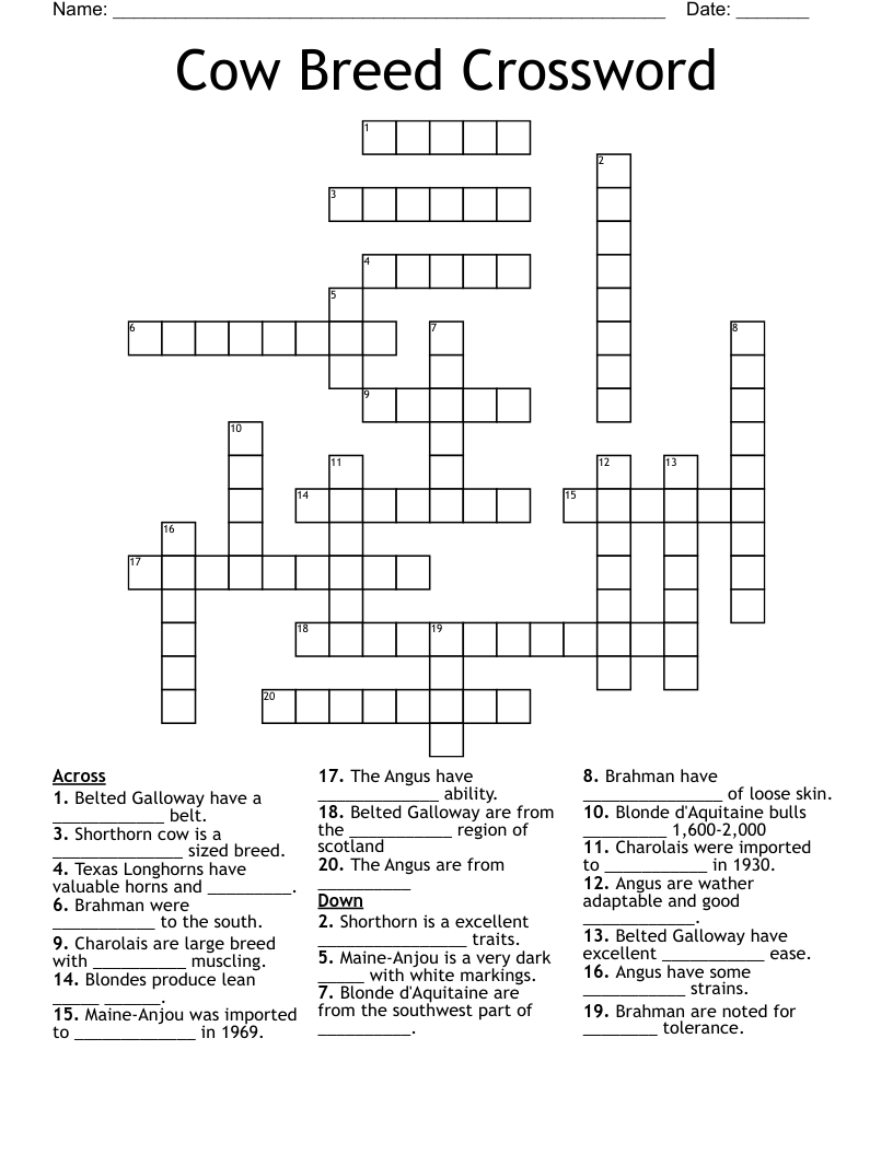 Cow Breed Crossword