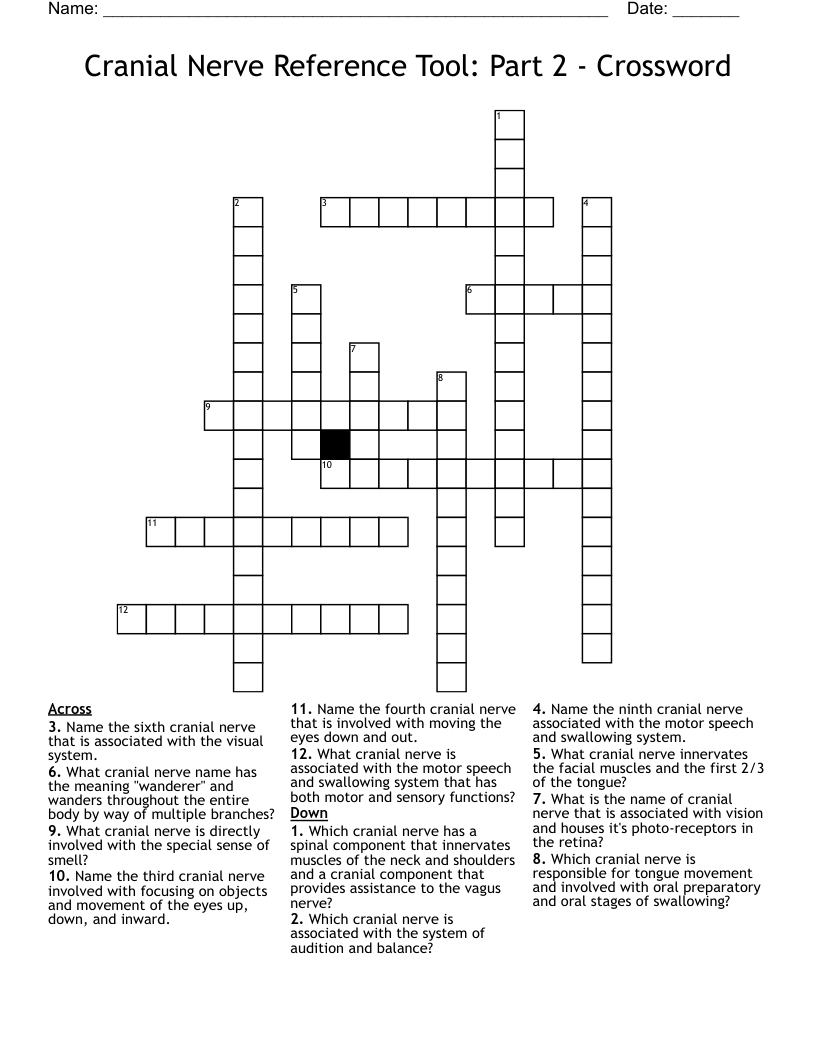 Cranial Nerve Reference Tool: Part 2 - Crossword