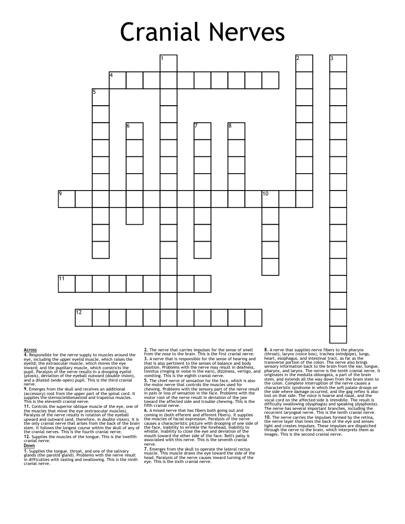 Cranial Nerves Crossword