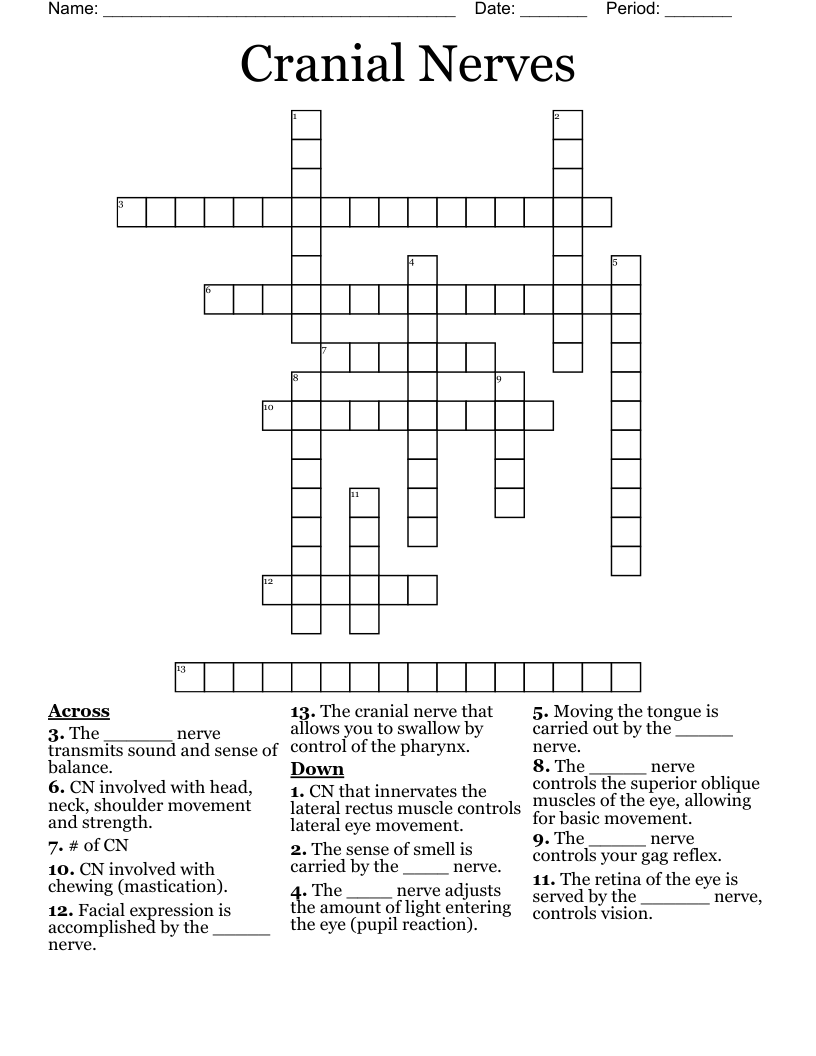 Cranial Nerves Crossword