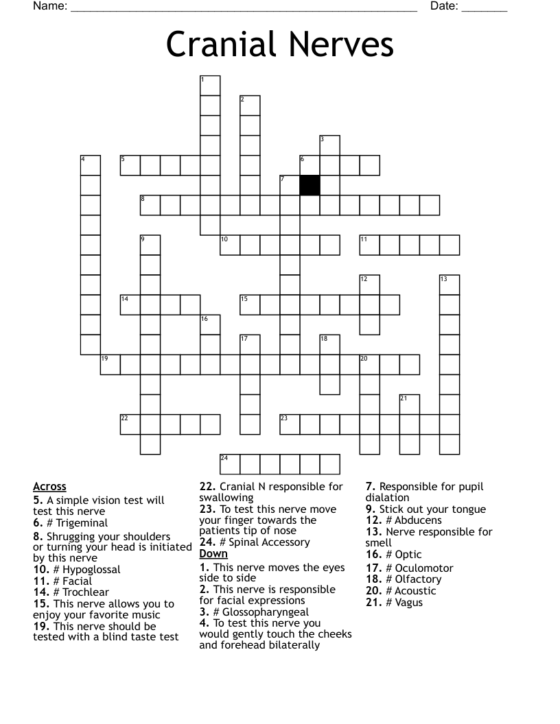 Cranial Nerves Crossword