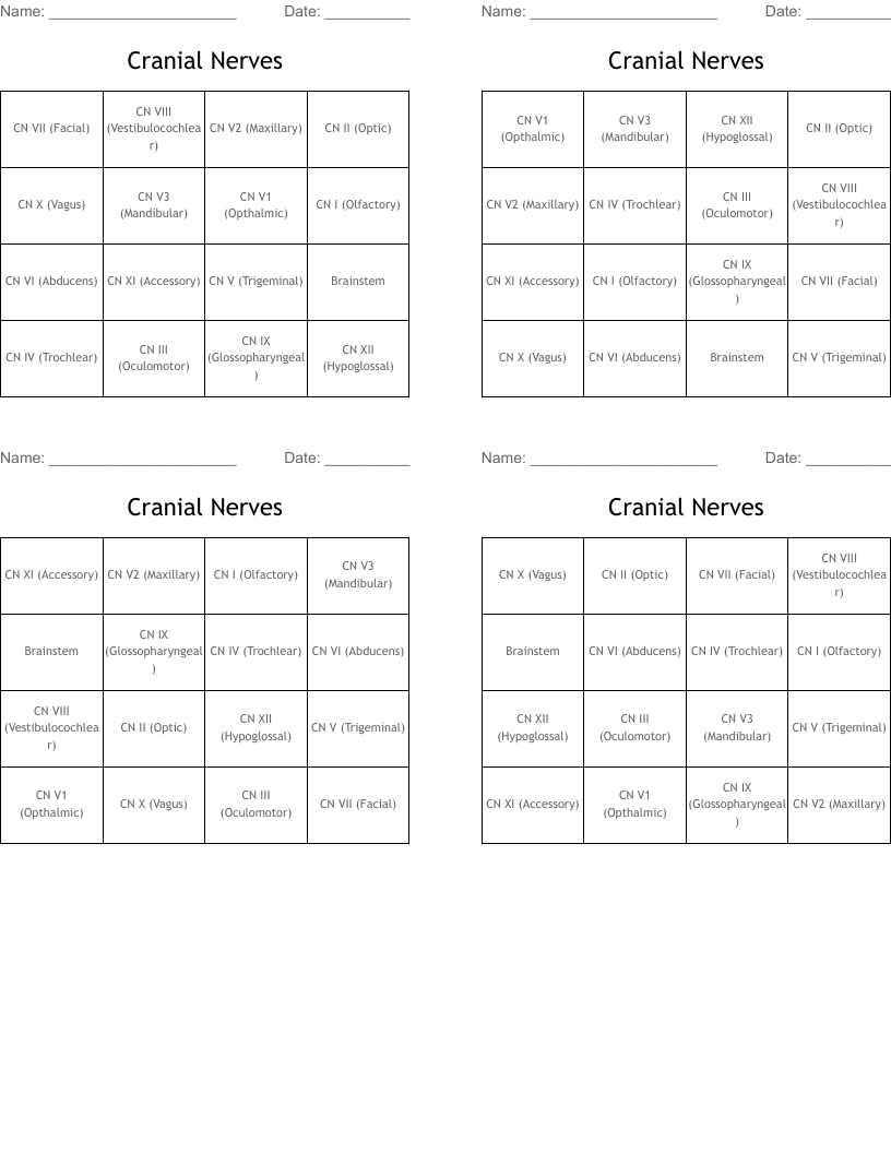 Cranial Nerves Bingo Cards