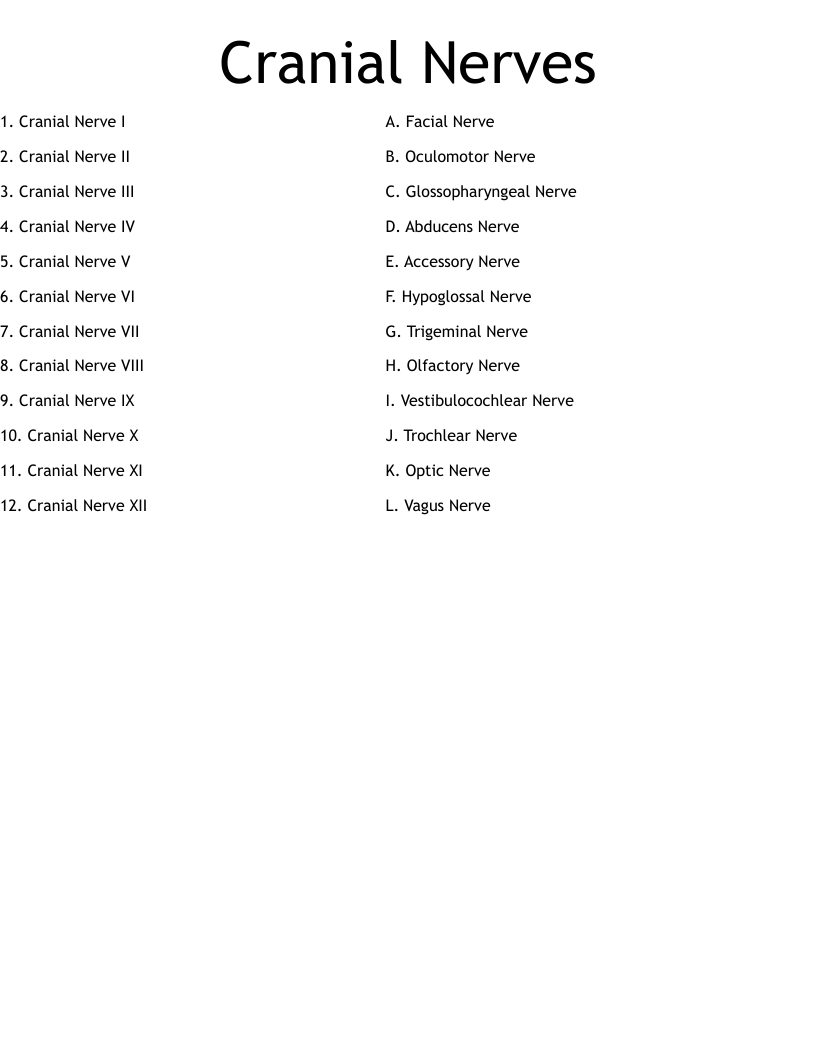 Cranial Nerves Worksheet