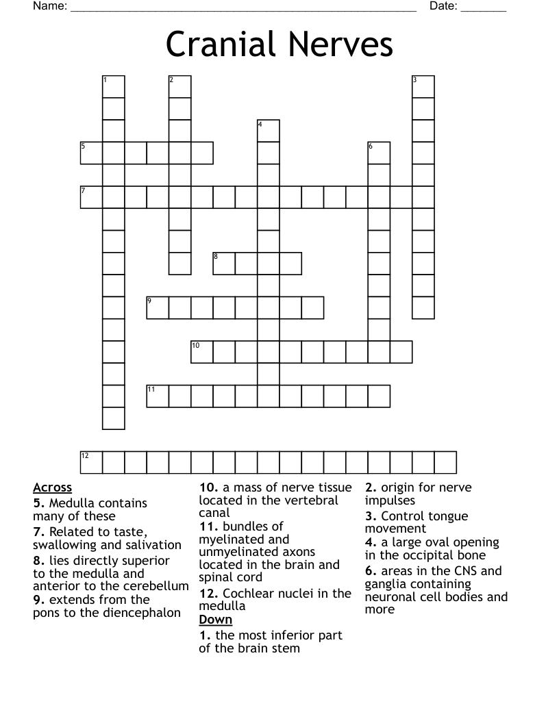 Cranial Nerves Crossword