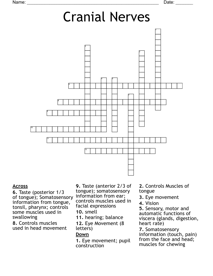 Cranial Nerves Crossword