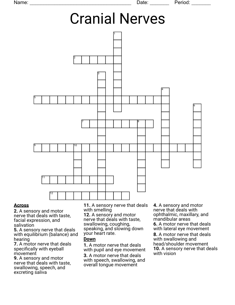 Cranial Nerves Crossword