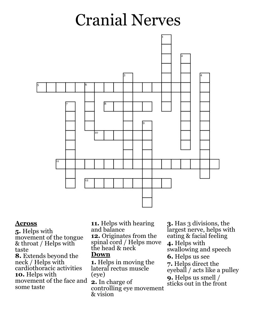 Cranial Nerves Crossword