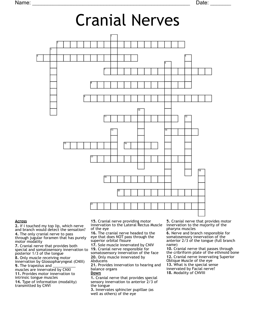Cranial Nerves Crossword