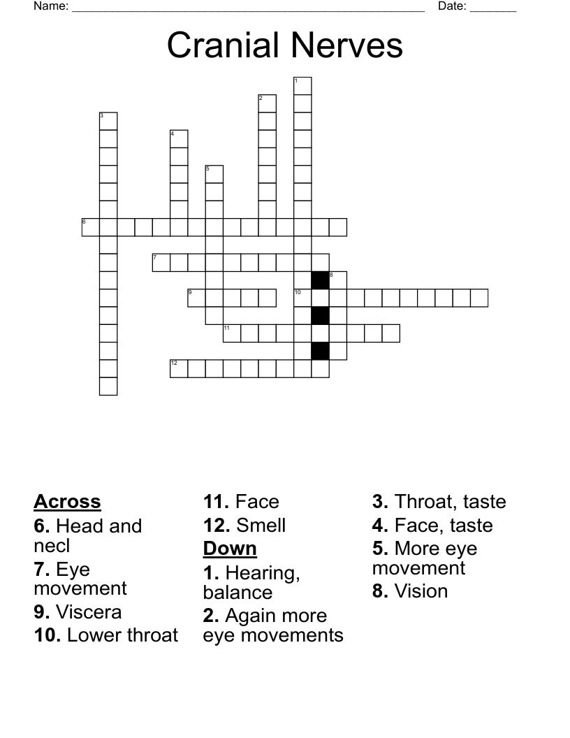 Cranial Nerves Crossword