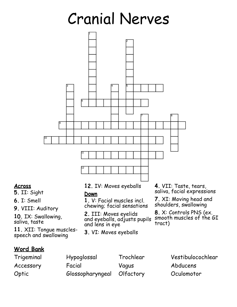 Cranial Nerves Crossword