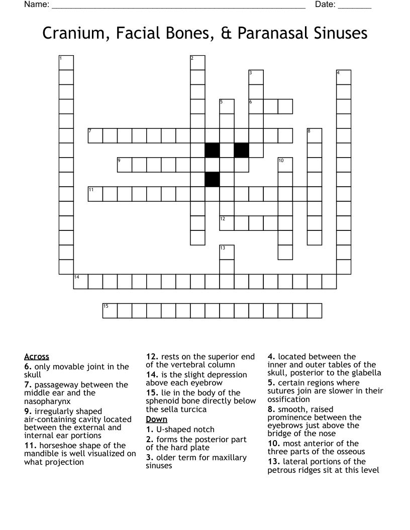 Cranium, Facial Bones, & Paranasal Sinuses Crossword