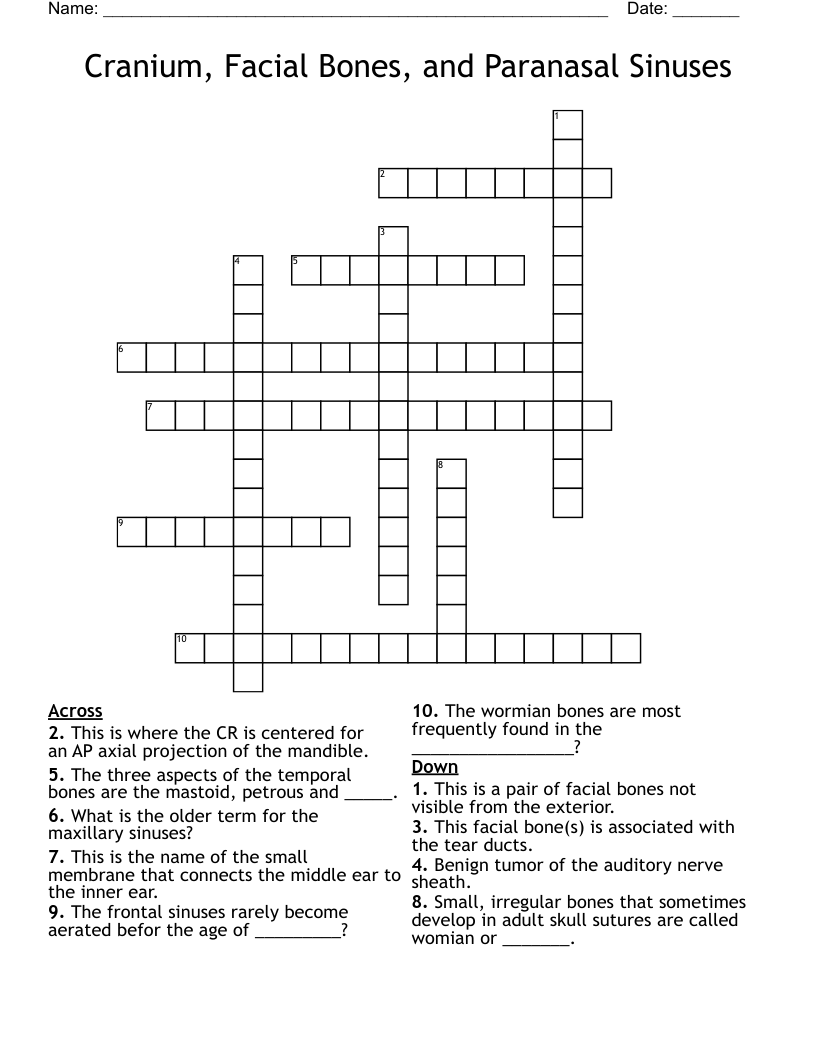 Cranium, Facial Bones, and Paranasal Sinuses Crossword