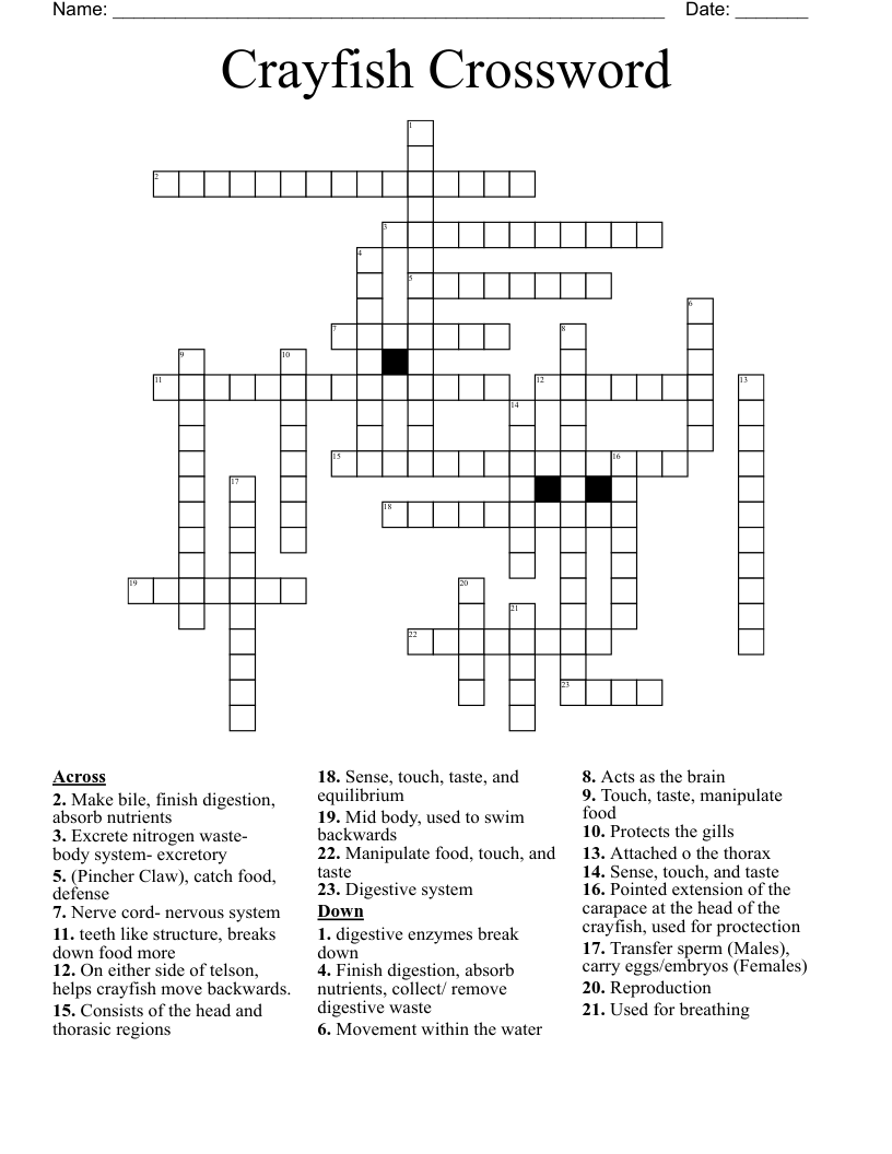 Crayfish Crossword