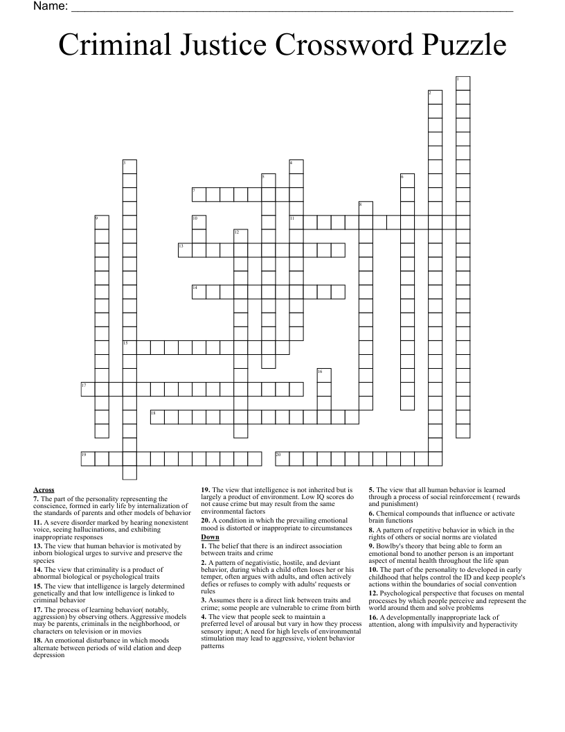 Criminal Justice Crossword Puzzle