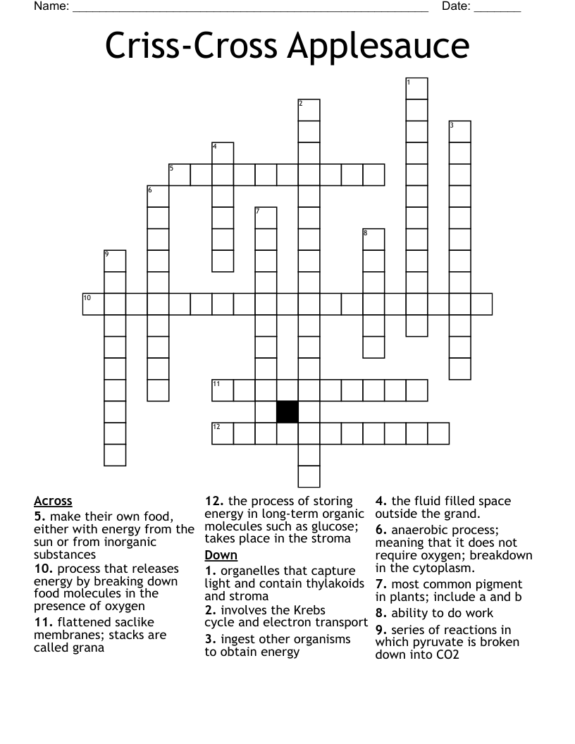 Criss-Cross Applesauce Crossword