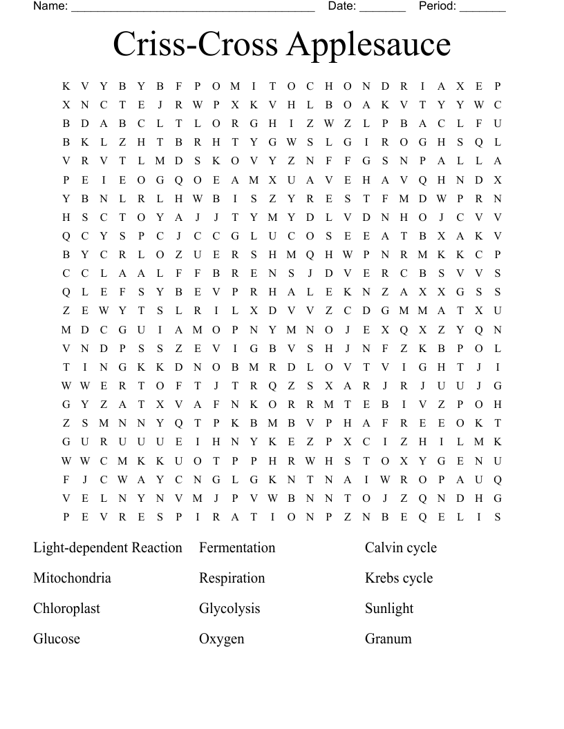 Criss-Cross Applesauce Word Search