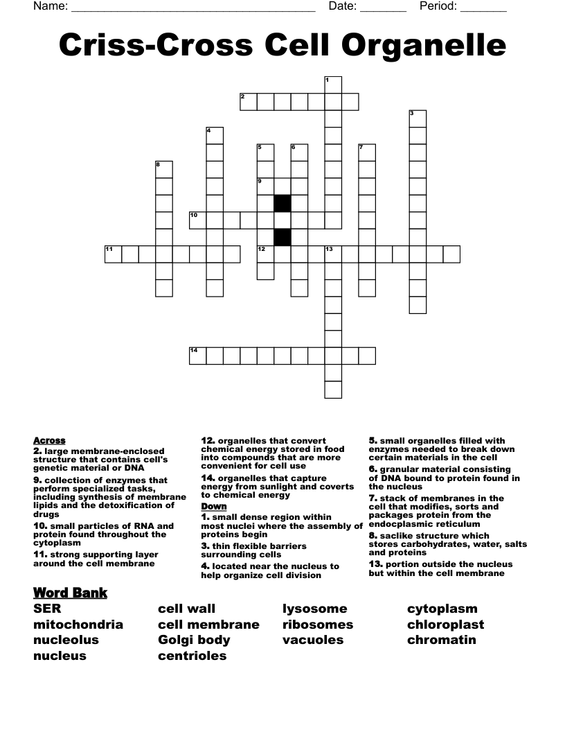 Criss-Cross Cell Organelle Crossword