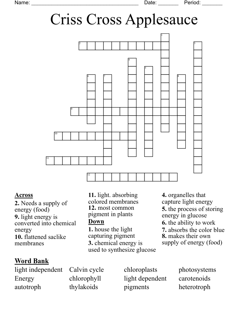 Criss Cross Applesauce Crossword