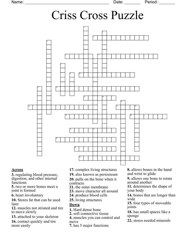 Criss Cross Puzzle Crossword