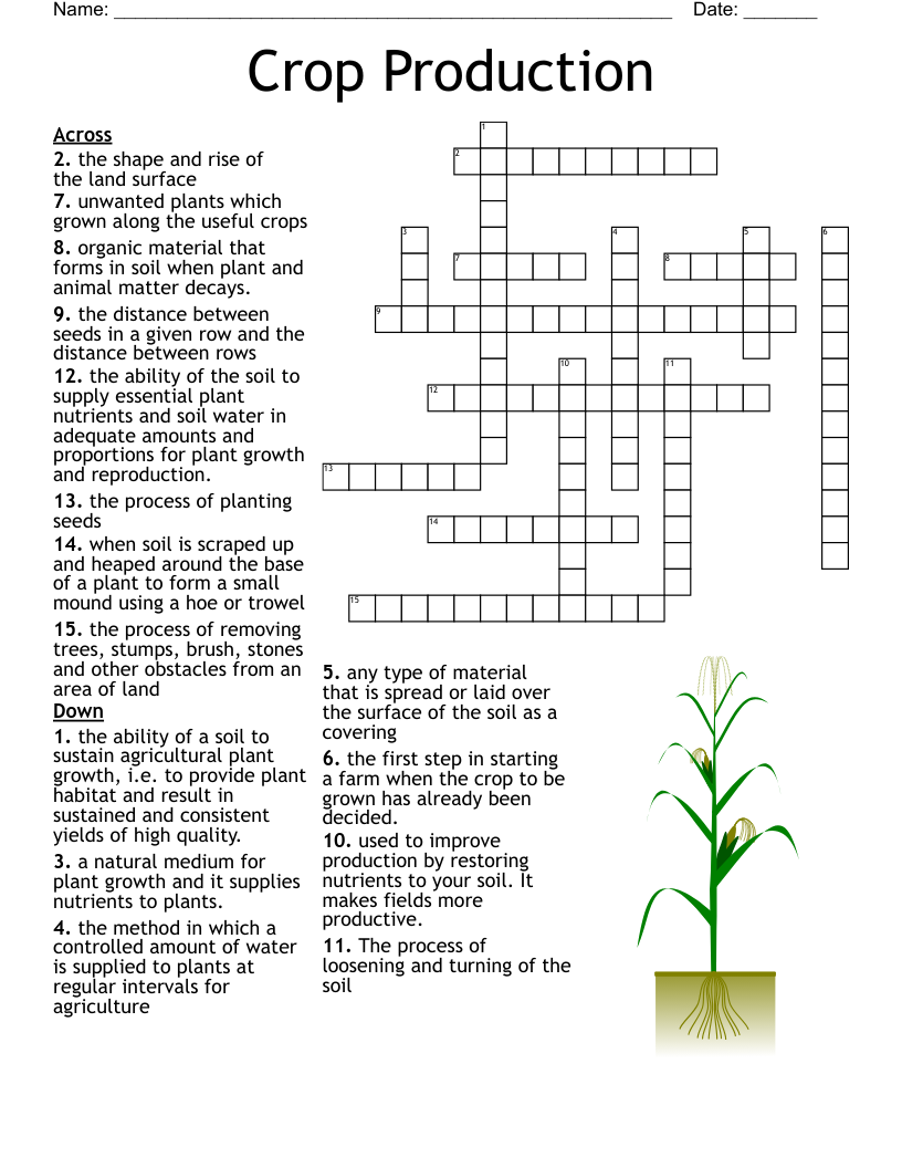 Crop Production Crossword