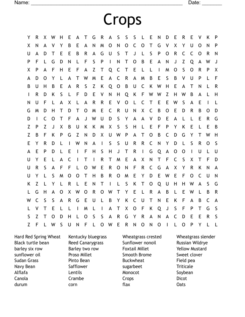Crops Word Search