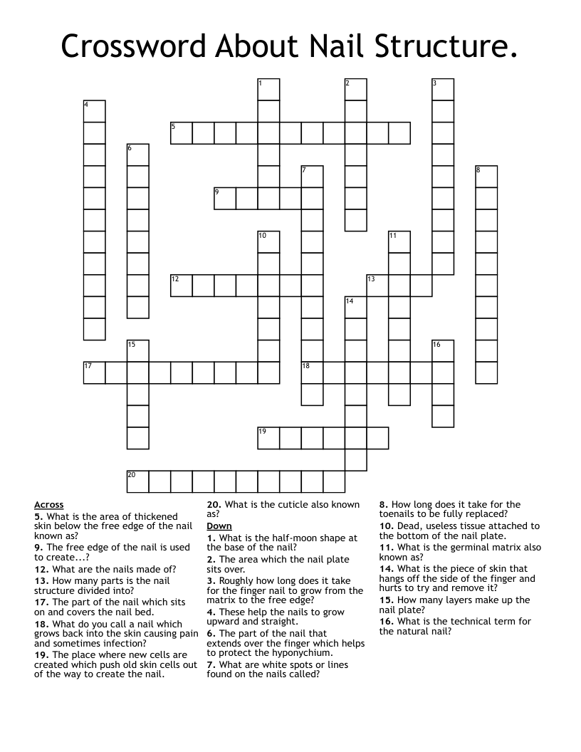 Crossword About Nail Structure.