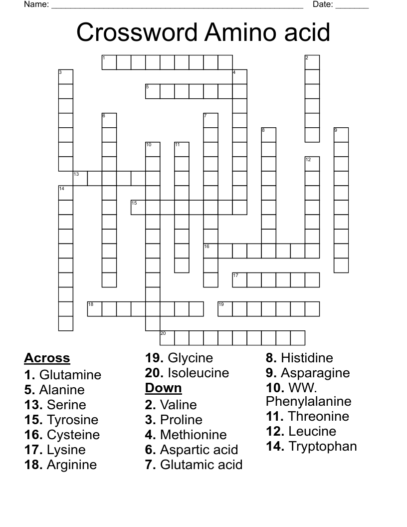 Crossword Amino acid