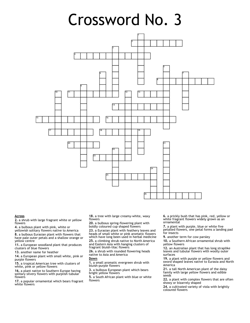 Crossword No. 3