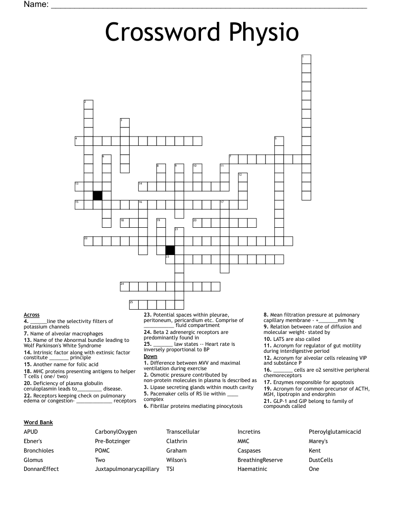 Crossword Physio