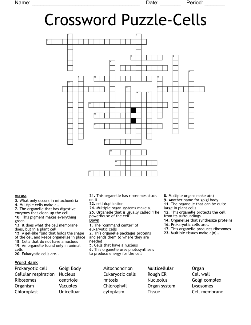 Crossword Puzzle-Cells